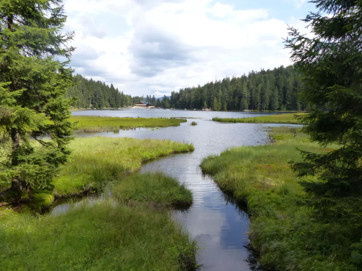 Grosser Arbersee im Böhmerwald, Tschechien