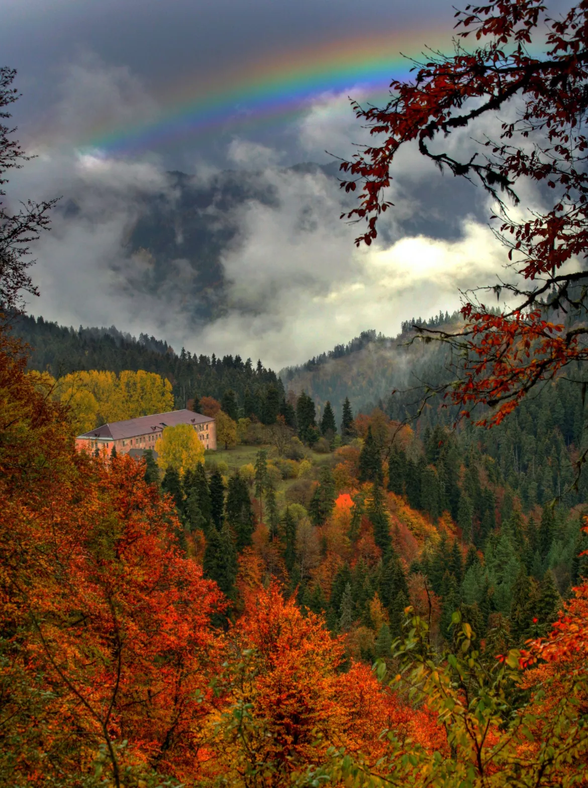 Borjomi-Kharagauli-Nationalpark