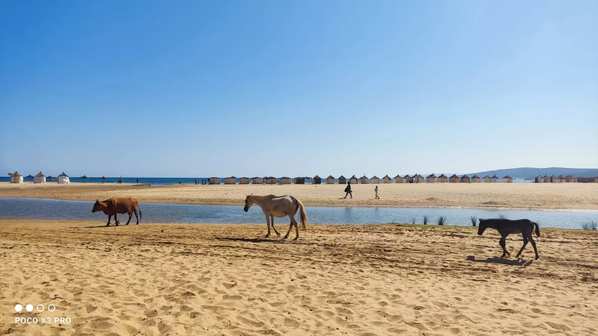 Cap Serrat, Tunesien