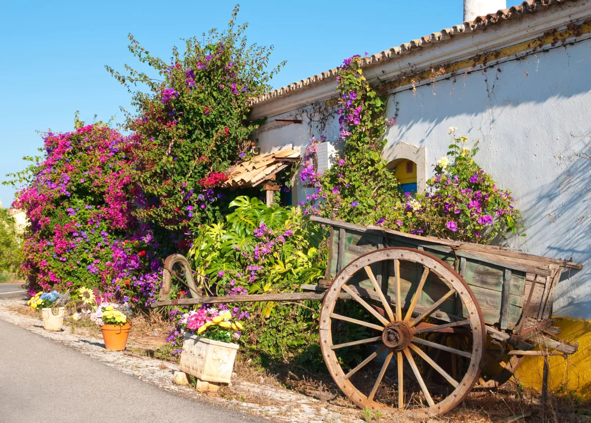 Blumenwagen im Hinterland, Algarve