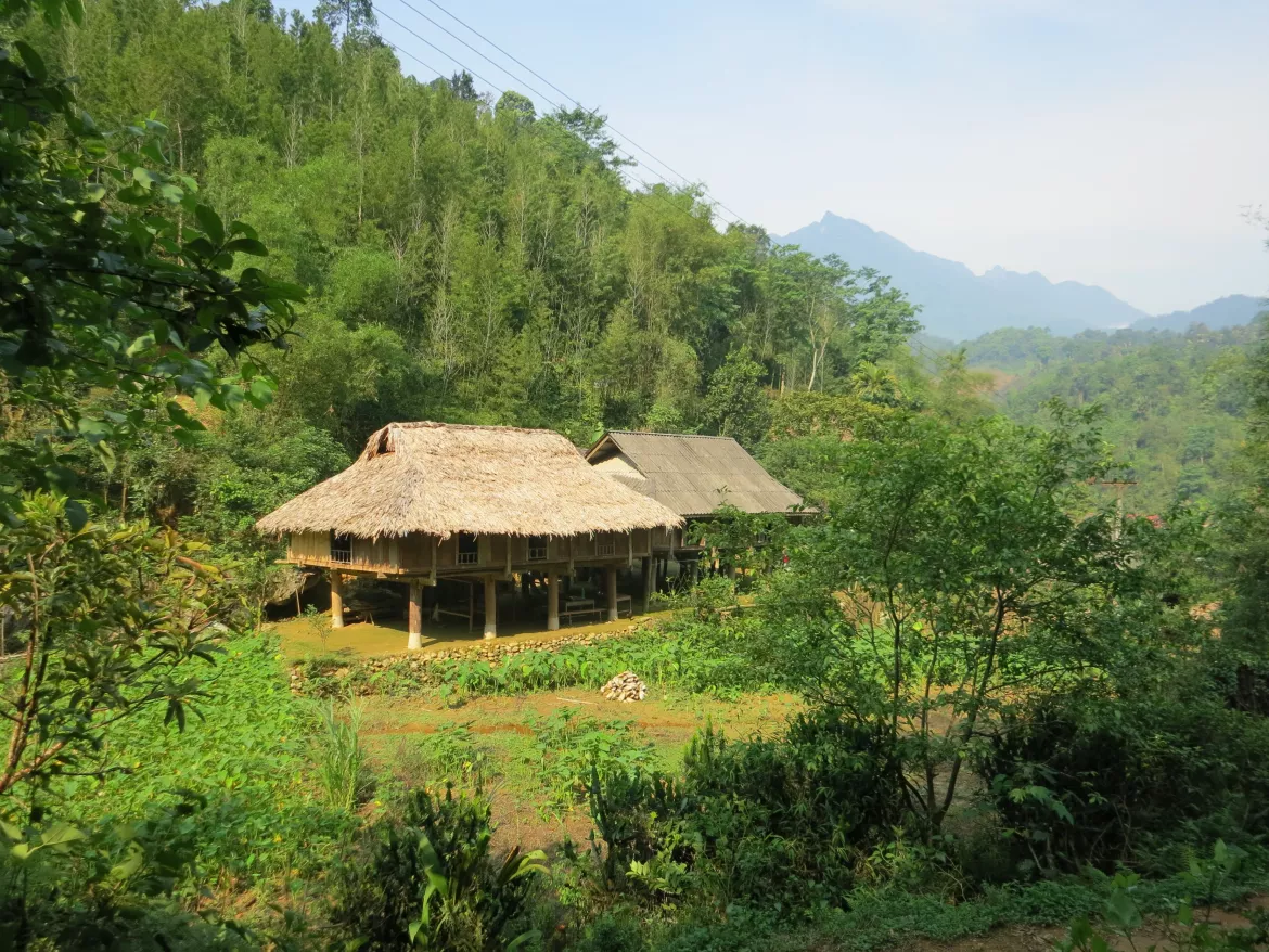 Mai Chau