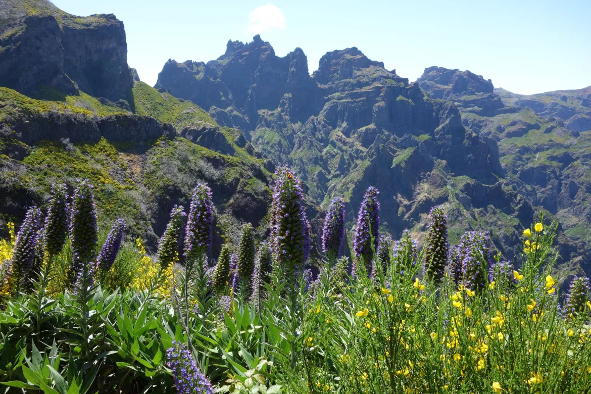 Bergwelt, Madeira