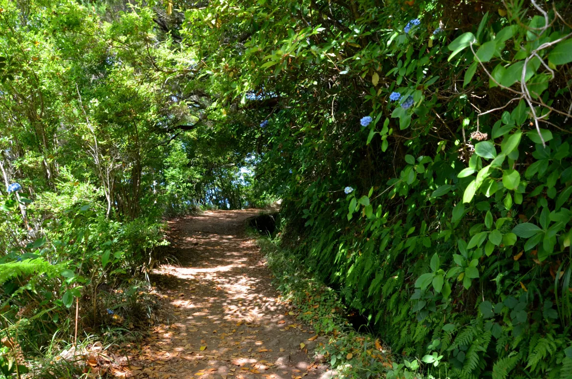 Levadas, Madeira