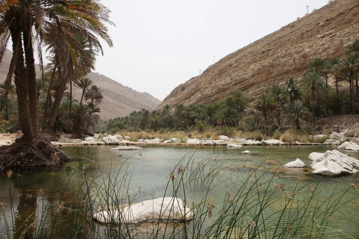 Oase Wadi Bani Khalid, Oman