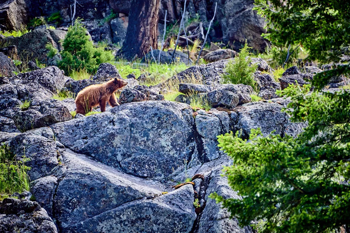 Rocky Mountain Nationalpark, USA
