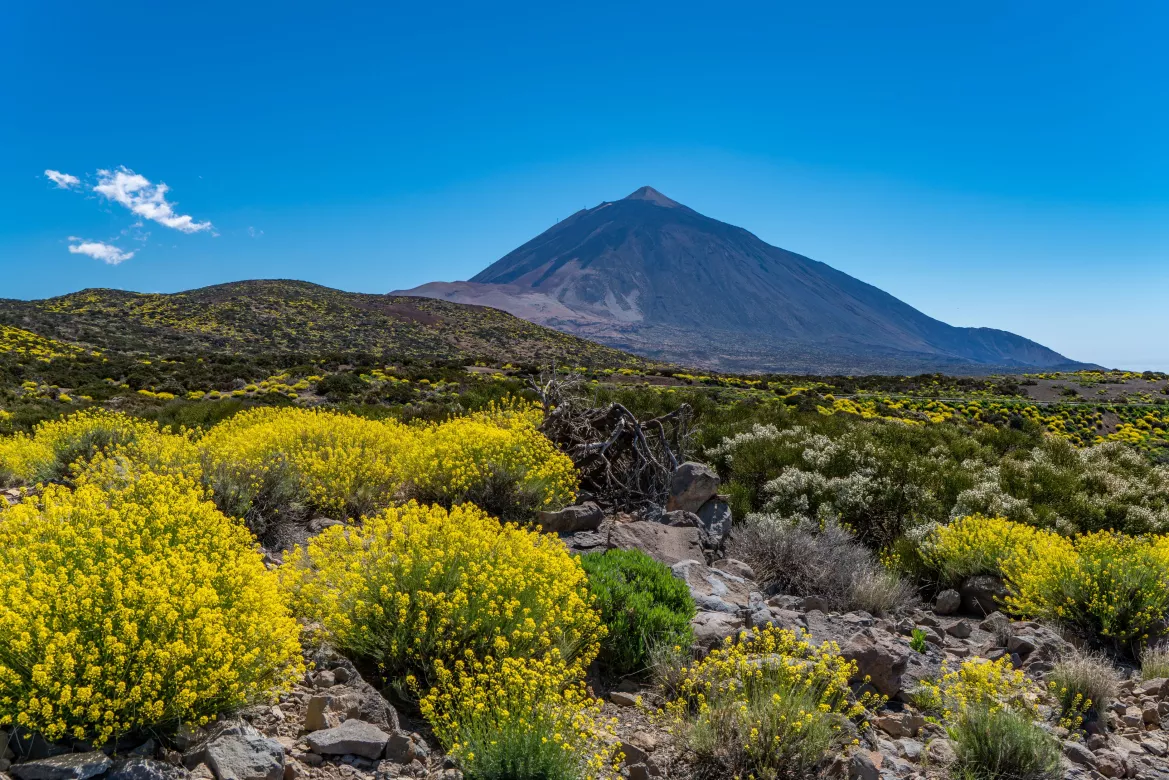 Teneriffa, Kanarische Inseln, Spanien