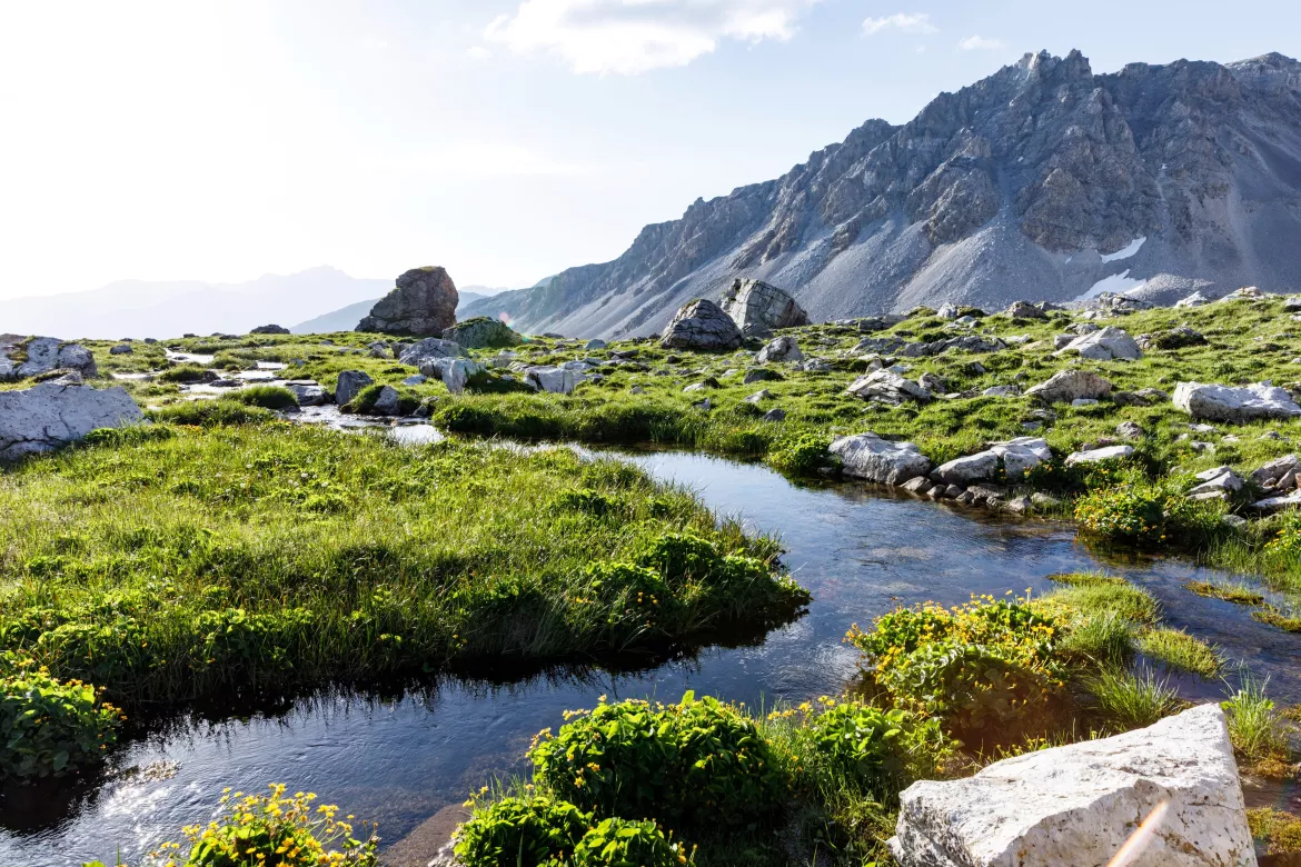 Viamala, Alp Anarosa, Graubünden © Demateao.com