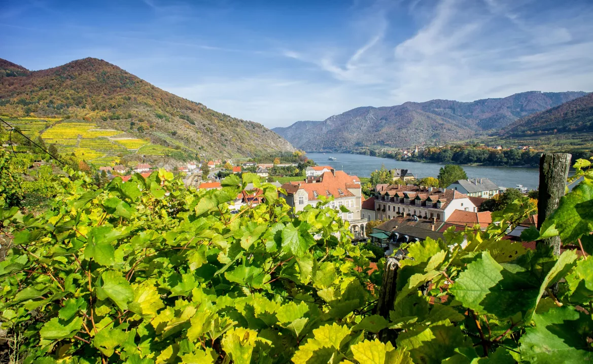 Wandern in der Wachau, Österreich
