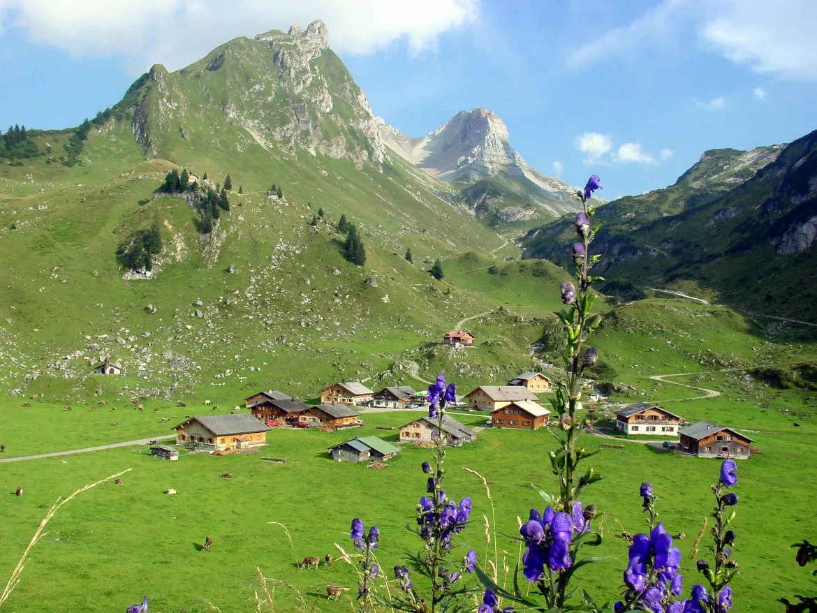 Blick auf Zech im malerischen Großen Walsertal, Österreich