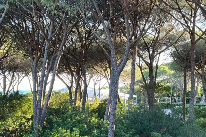 Bild: Meine Liebesgeschichte mit der Südtoscana