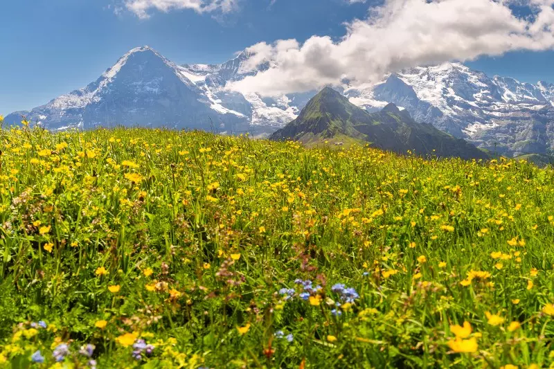 Bild: Nachhaltig Reisen